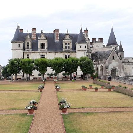 Appartement Au Calme, Avec Parc Prive, 50M Du Tram Tours Bagian luar foto